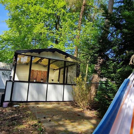 "Dennenhuisje" Op Bospark Ijsselheide Hattemerbroek Dış mekan fotoğraf