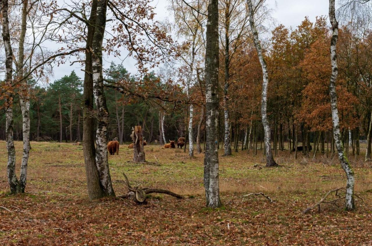 "Dennenhuisje" Op Bospark Ijsselheide Hattemerbroek Dış mekan fotoğraf