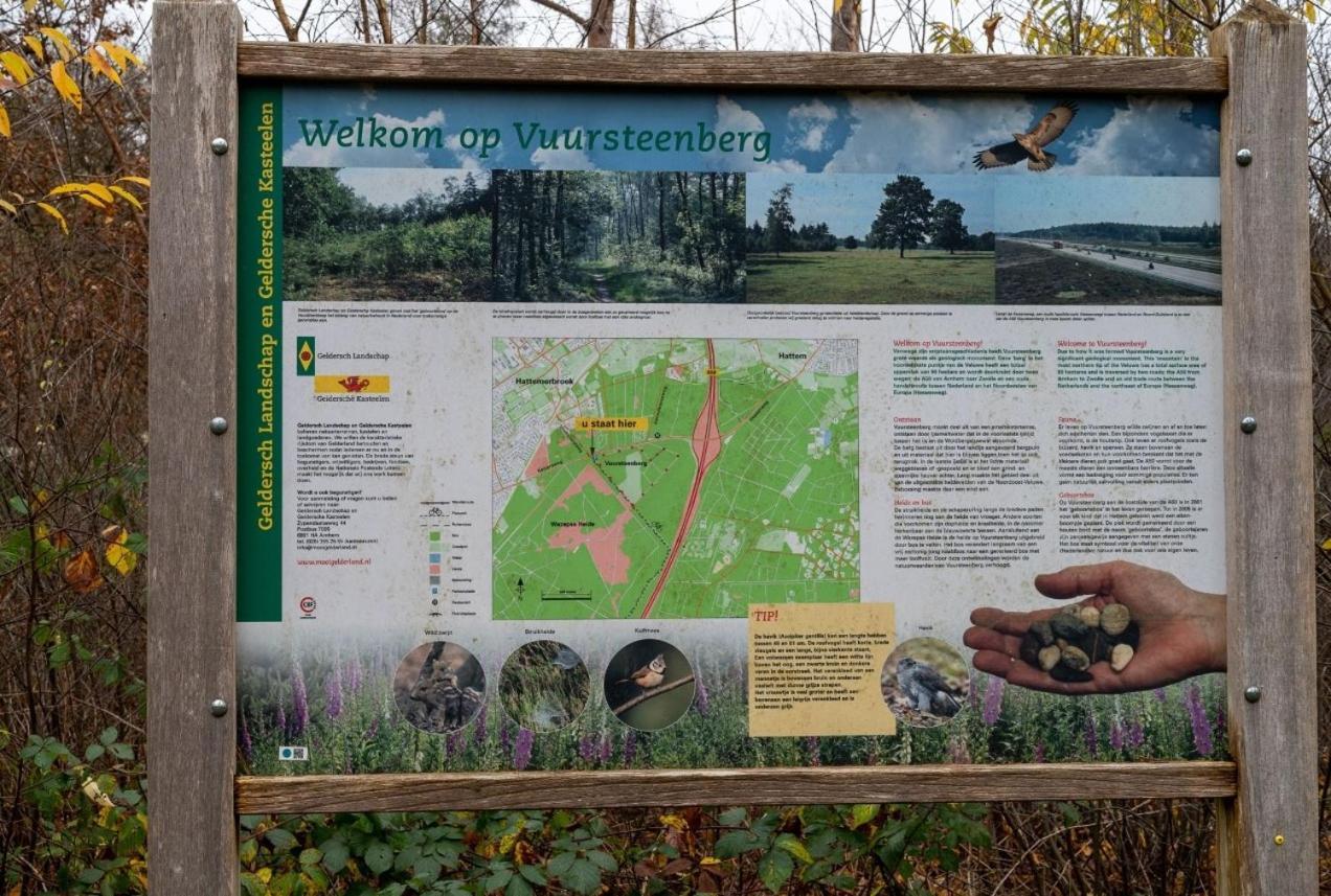 "Dennenhuisje" Op Bospark Ijsselheide Hattemerbroek Dış mekan fotoğraf